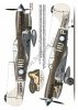 Kagero 7037 Curtiss P-40 F,K,L,M,N models EN/PL